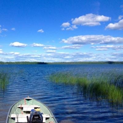 david_furman's profile picture. 