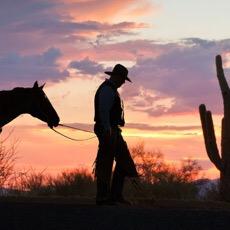 flyingeranch's profile picture. At the Flying E, a dude and working cattle ranch, the casual and relaxed atmosphere is as natural as our gorgeous sunsets.