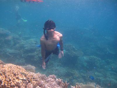 setyodwi27's profile picture. i tweet what i want