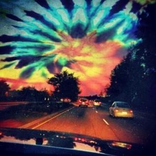 follow for follow #followtrain