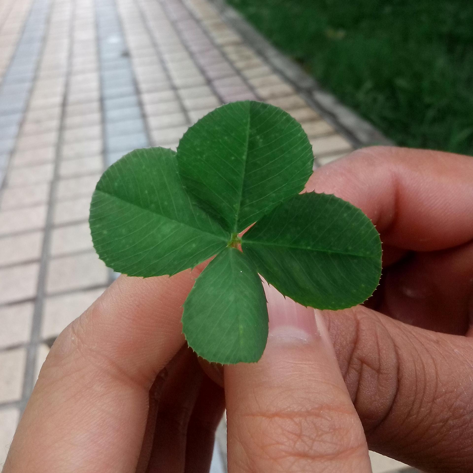 eviewan's profile picture. 