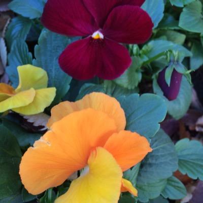 WEBデザイナーを目指している25歳です。現在、スクールにてWEBの勉強中‼︎
WEBデザイナーの方、WEBデザイナーを目指してる方、色々アドバイス、コメントを貰えると嬉しいです。よろしくお願いします。