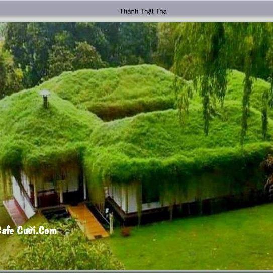 Quoccuong07cdt2's profile picture. 