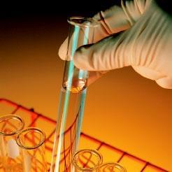 damdocvoco's profile picture. 