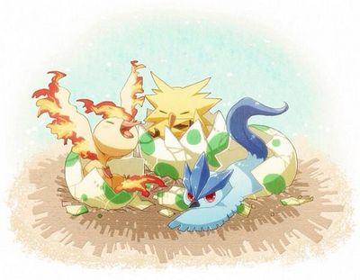 Arcticuno:on the left #baby #nofamily #female)(Moltres:on the right #baby #nofamily #male)(Zapdos:in the middle #baby #nofamily #male