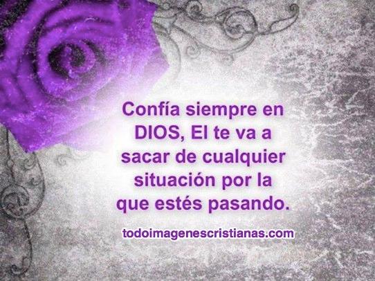 gnesismauricio's profile picture. 