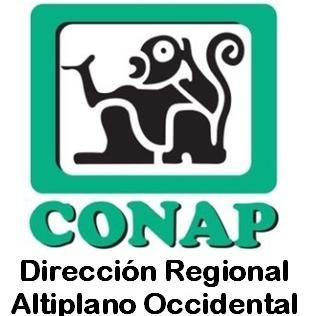 ConapDRAO's profile picture. 