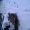 Sandy Duke - @mamadukexxoo - Twitter