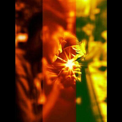 AdityaFyan's profile picture. 