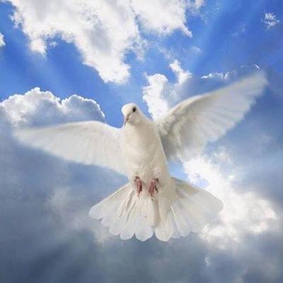 It is my desire to proclaim good news to the poor, bind up the brokenhearted, proclaim freedom for the captives and release from darkness the prisoners.