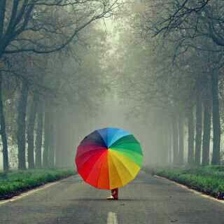 Amz895's profile picture. 