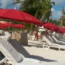 Pauline Steiner - @SteinerPauline - Twitter