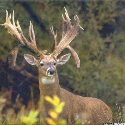 TcColburn's profile picture. 