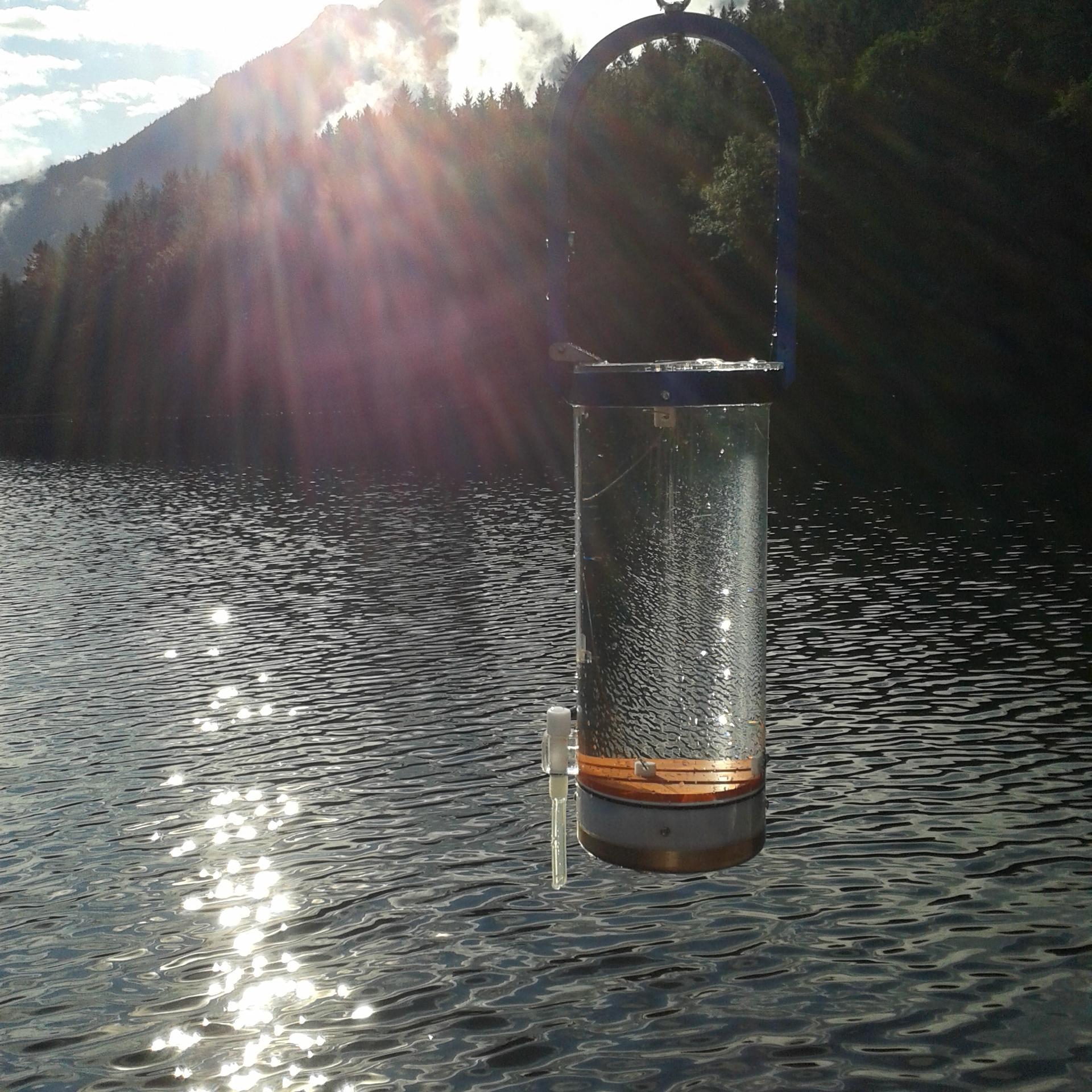 AndreaMariaGall's profile picture. 