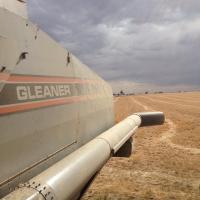 Luke Trevaskis (@luke_trevaskis) 's Twitter Profile Photo