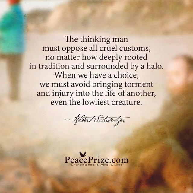 cre8tive786's profile picture. Proud Muslim, married to an amazing man & loving life as a mummy of 2 adorable boys.