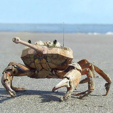 qwarviz159's profile picture. 