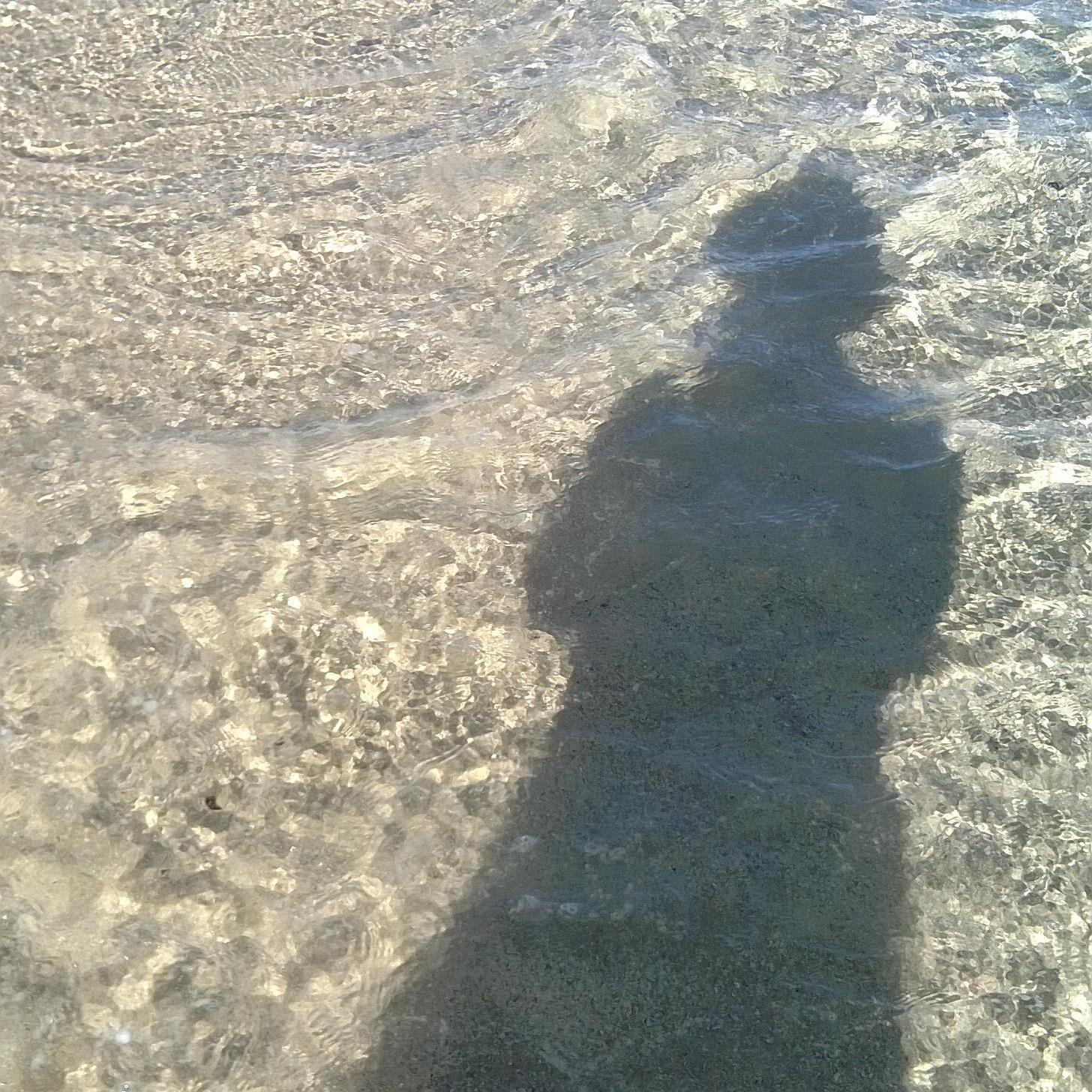 J'aime la nature, lire, voyager ,mais surtout j'aime la justice ,la paix et combattre pour les bonnes idées