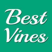 面白6秒動画♡今Twitterで大人気のvine動画をいち早くお届けします♪