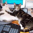 Mike Topper - @mjtopper - Twitter