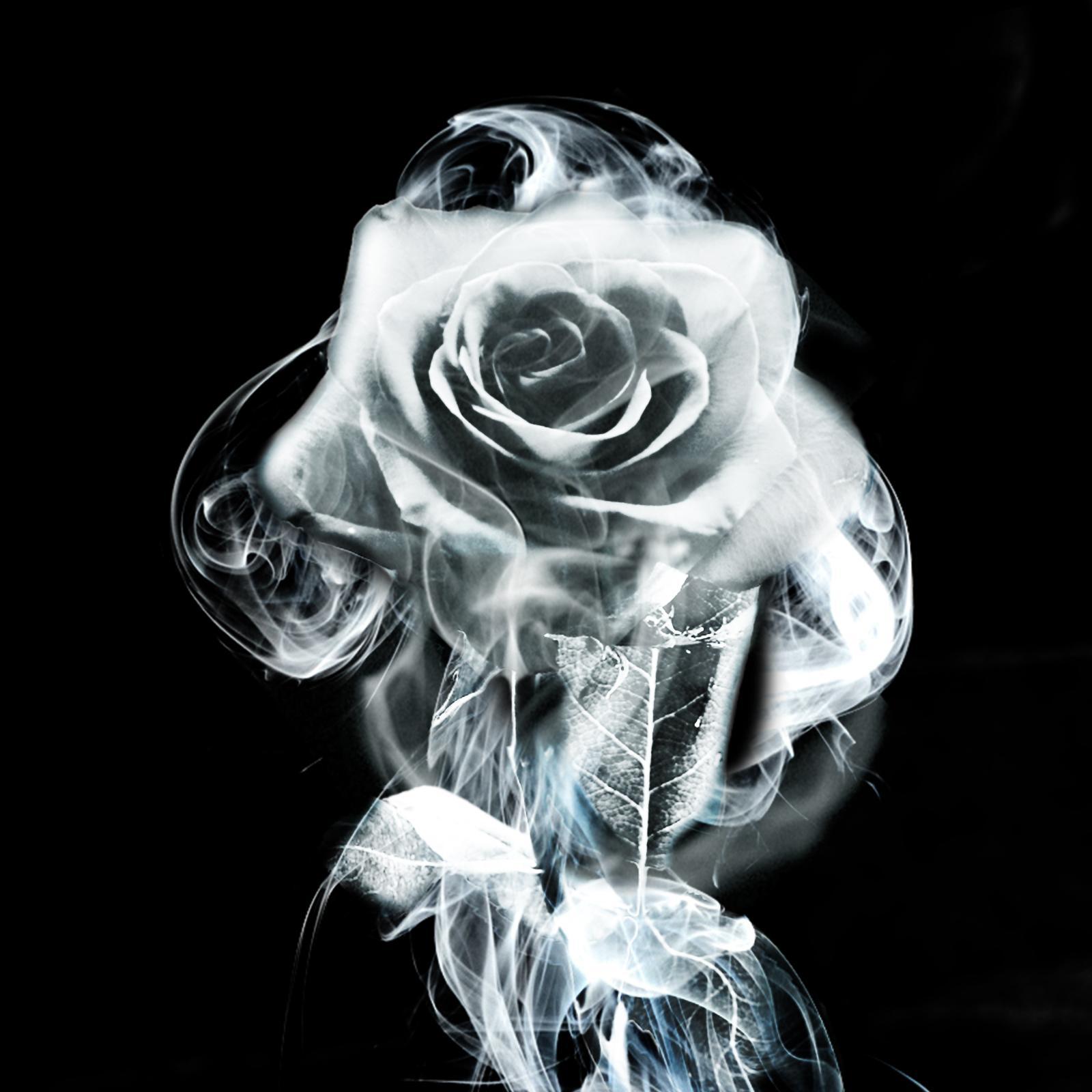 huppy95's profile picture. 