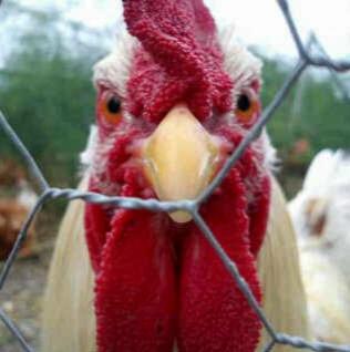 dantti_nick's profile picture. What do you have to offer me