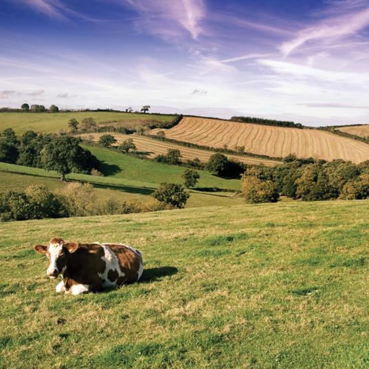 Written for those with an interest or passion in food, farming, environment, animal welfare and rural living. Love our countryside? Then you'll love us!