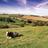farmcountrymag's profile image