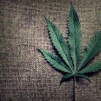 سالب ابها (@saleeb____17) Twitter profile photo