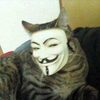 Meow-meow meow-meow meow meow