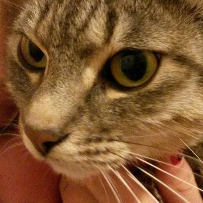 f548d0cd0f7b405's profile picture. 