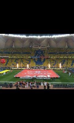 saaud246f's profile picture. 