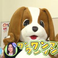 わらたん (@waratan77) Twitter profile photo