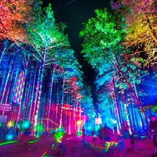 Electric forest (@forest_electric) | Twitter