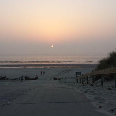 nimCoo's profile picture. Gunner state of mind. Arsenal ⚽️