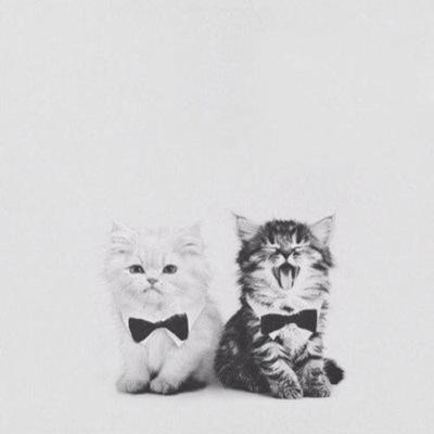 mrntylnd's profile picture. 