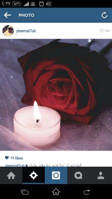 Dandashi1988's profile picture. 