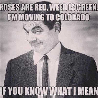 beardedsense's profile picture. #workout daily smoke #marijuana #beard #tattoos #horror wish people would think for themselves n stop being #sheep be strong enouph to overpower all