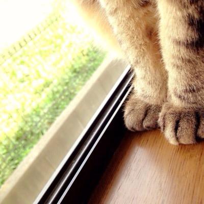 佐野さんのプロフィール画像