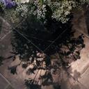 Catherine Krawczyk - @CathKrawczyk - Twitter