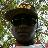 I WILL NEVA APOLOGIES FOR BEEN ME