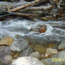 brad tilton - @awsomnes12 - Twitter