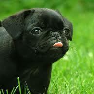 Please follow and enjoy the cuteness!