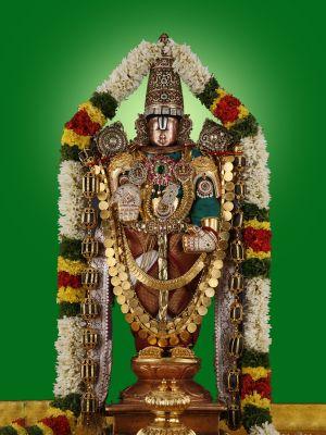 kumar cabs in bangalore 9845797788