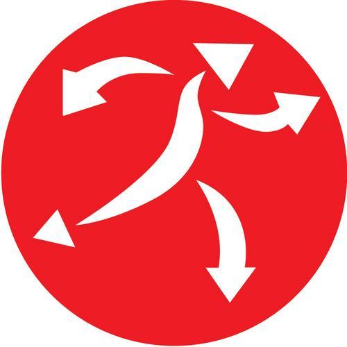 Global Witness DRC Profile