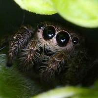 ジミー(おーたに) (@yusuky_) 's Twitter Profile