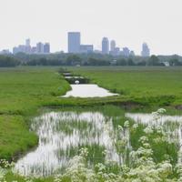 daf architecten (@dafcatherine) 's Twitter Profile