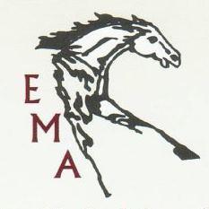 Equine Medical Associates, PSC
Lexington, Kentucky