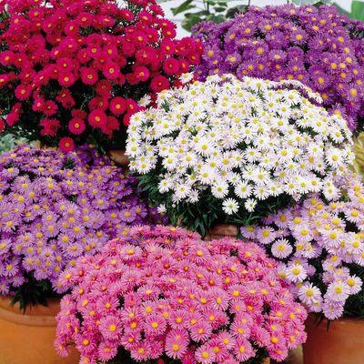 gamit166's profile picture. 