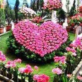 rosolfathi's profile picture. 